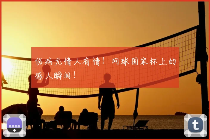 伤病无情人有情!网球国家杯上的感人瞬间!