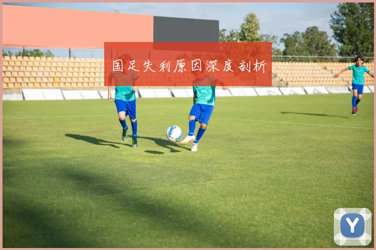 国足失利原因深度剖析